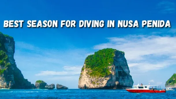 Top 5 Nusa Penida Dive Sites - Neptune Scuba Diving Best season for diving in Nusa Penida